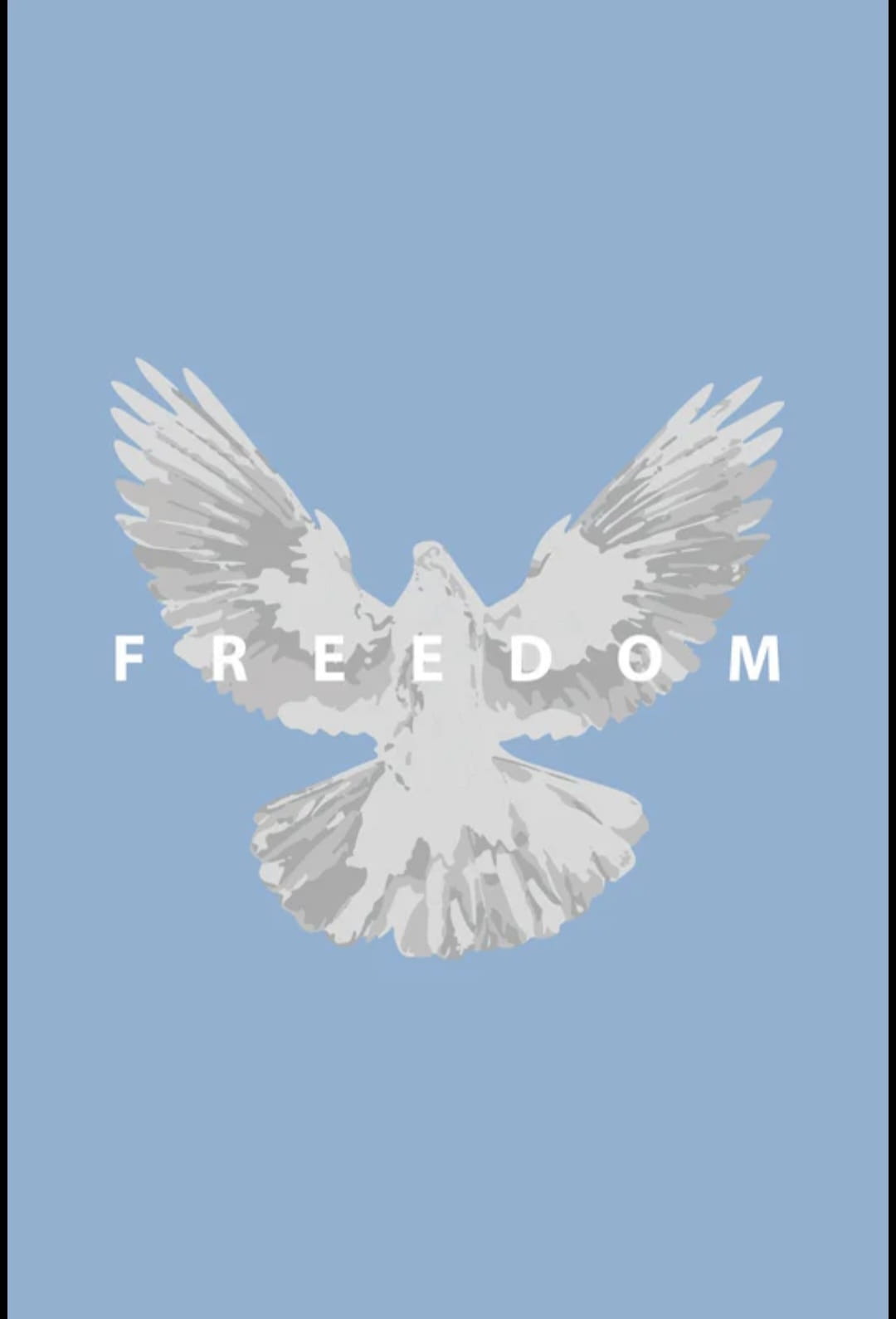 Freedom Oversized Hoodie – Premium Heavyweight Streetwear Pullover